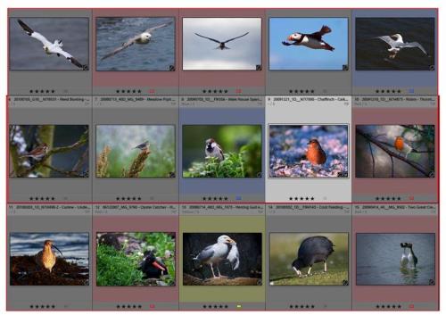 Submission_-_v01_-_internet_ve