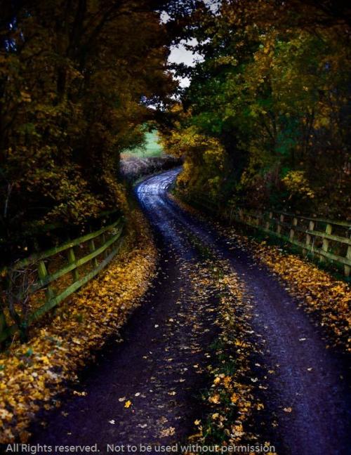 20081108-_track_over_m69_in_au