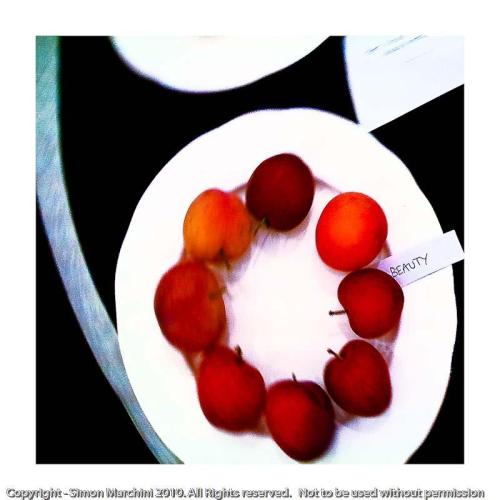 Beauty_-_tatton_park