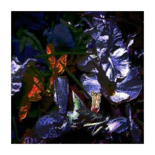 Dead_heading_-_enderby