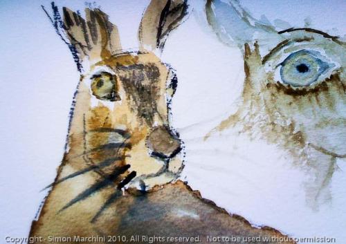 20100927-_hare_watercolour