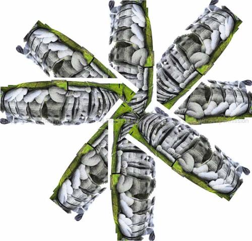 20101203-_rabbit_woman_-_ysp_-