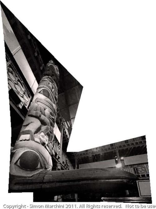 20110126-_totum_pole_-_pit_riv