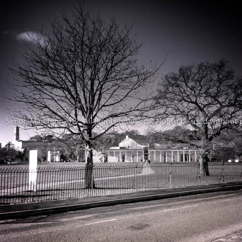 20121128-2012-11-28_11