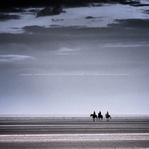 20081017_40d_mg_5366_-_horse_o