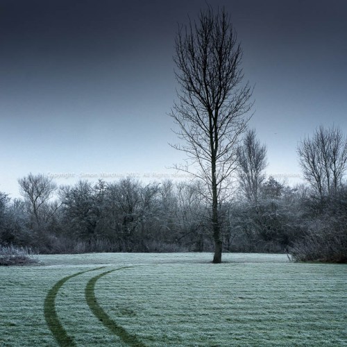 Dsc02167_-_frozen_trees_at_dus