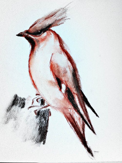Waxwing