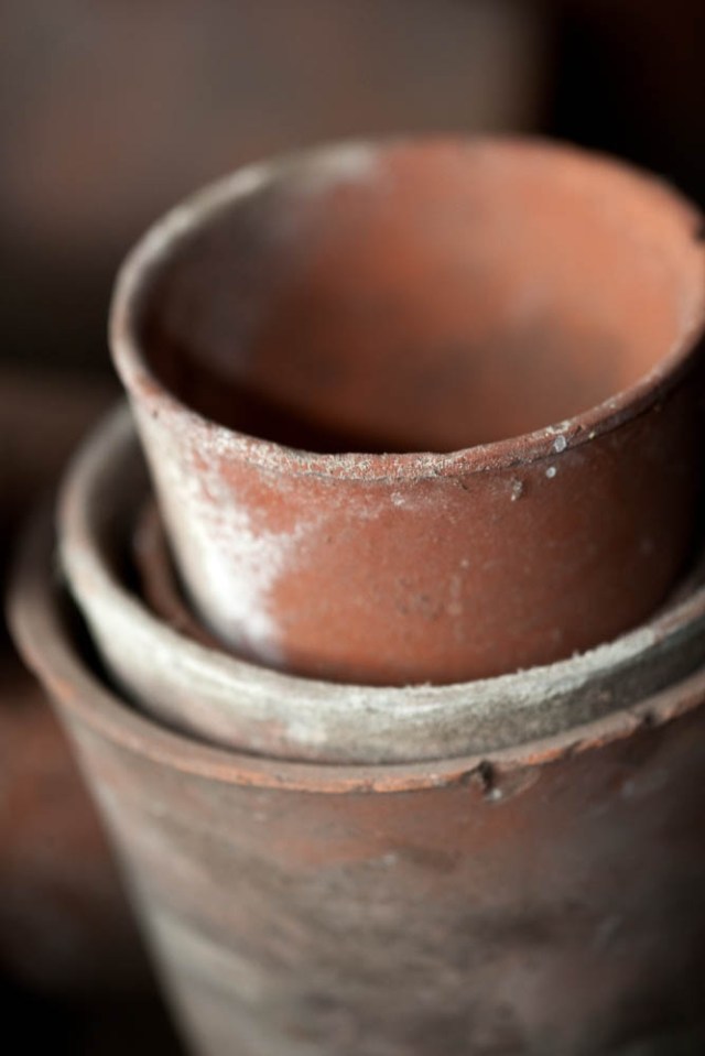 Flower Pots - Calke Abbey