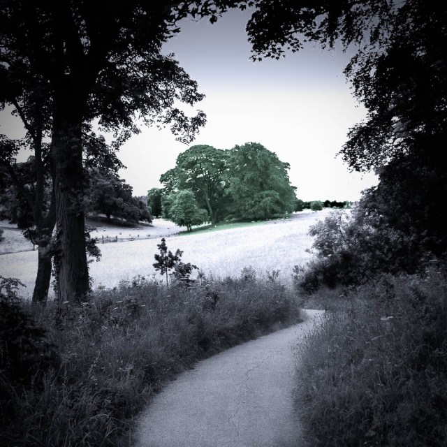 Path - Calke Abbey