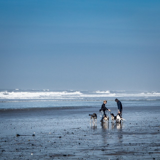 People with Dogs - Borth