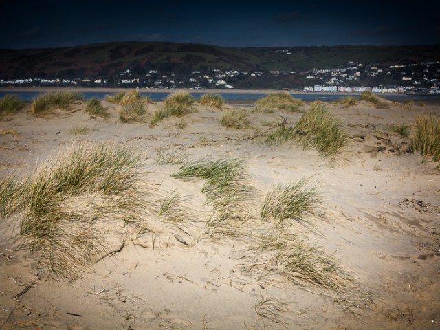 Sand Dunes - Ynyslas