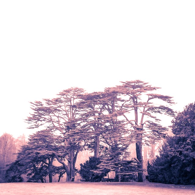 20140302-Photo 02-03-2014 14 48 41