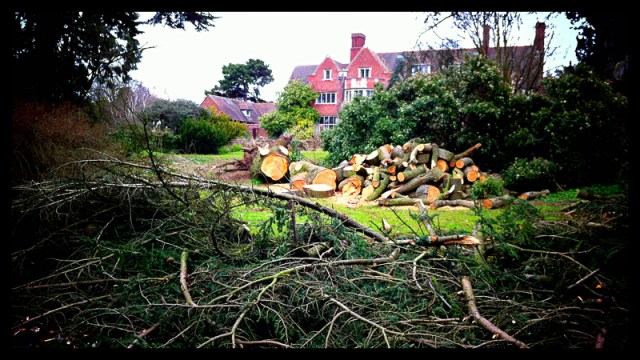 iPhoneography -IMG_000171