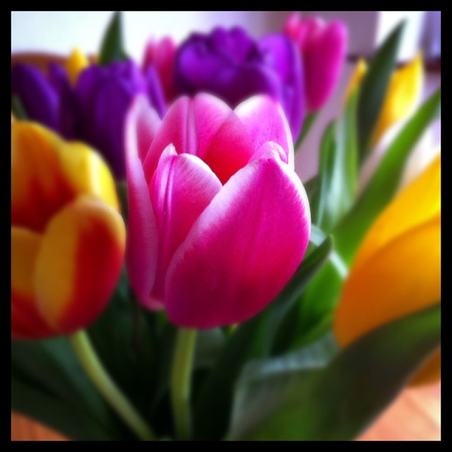 iPhoneography -IMG_000333