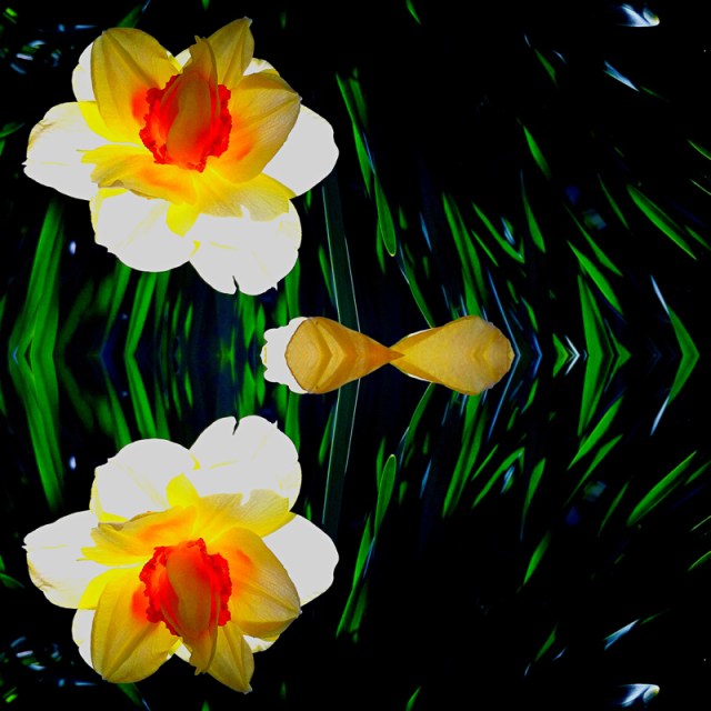 iPhoneography -IMG_000490