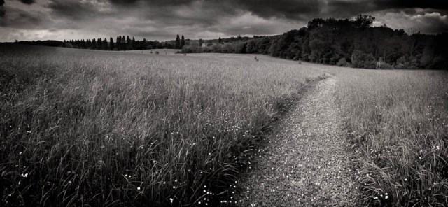 20140530-Photo 30-05-2014 13 27 39 - Compton Verney Park