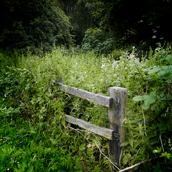 20140616-IMG_2186 - Abandoned Railway Line - Bagworth