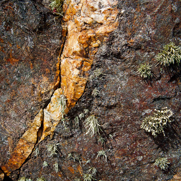 20140621-IMG_2254 - Tourmaline-bearing Aplite - Cape Cornwall