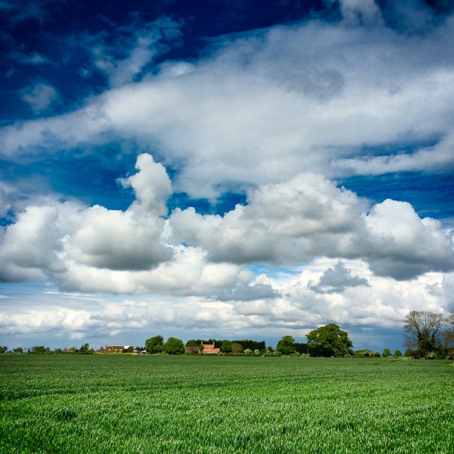 20140512-Photo 12-05-2014 14 12 41 - Lincolnshire Fens