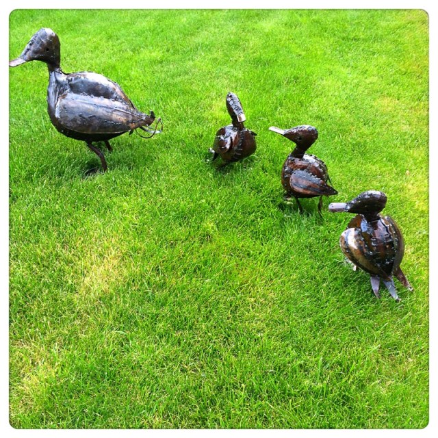 20140701-IMG_001573 - Metal Ducks