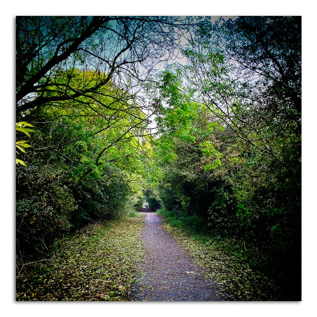 Walk Along Great Central Way