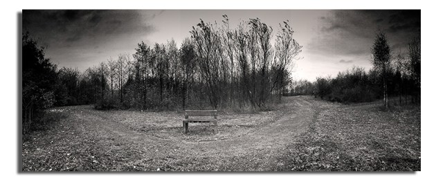Seat in woods