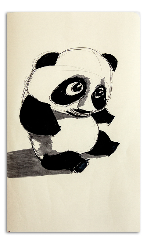 Baby Panda