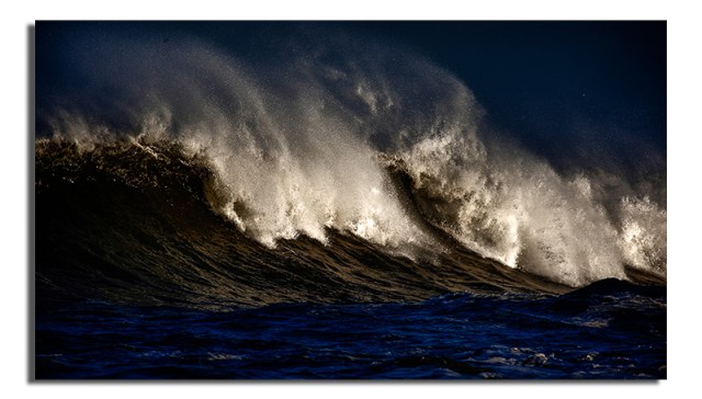 Wild Waves - Jan 2010