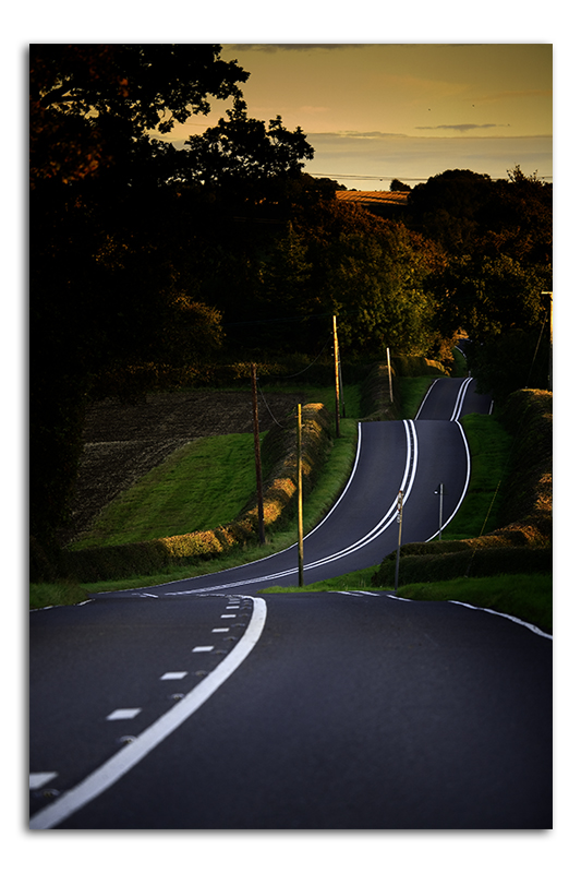 Road in the evening sun - Lowesby