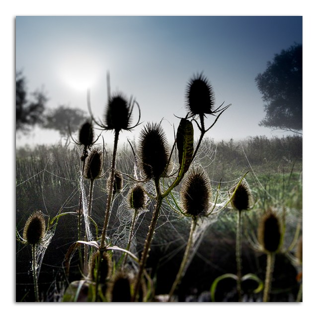 Autumn - Jubilee Park 001