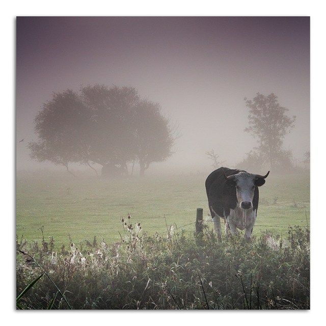 Autumn - Jubilee Park 002