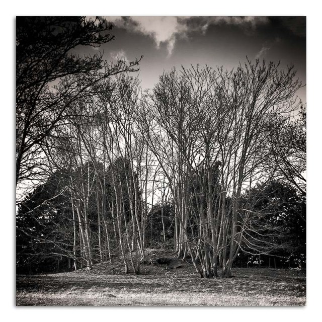 Mound - Ratcliffe on the Wreake