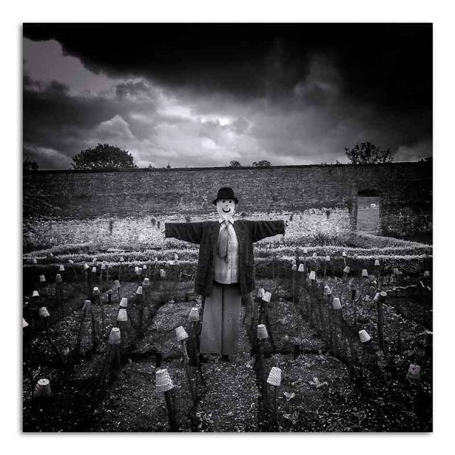 Scarecrow - Calke Abbey