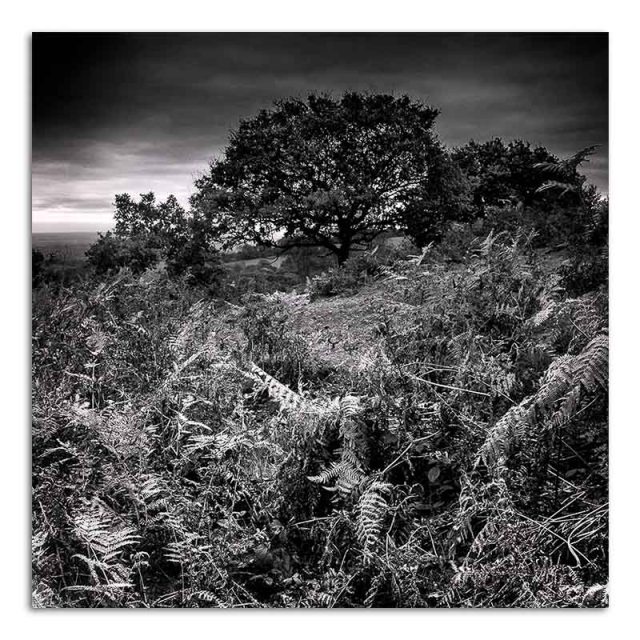 bracken-beacon-hill