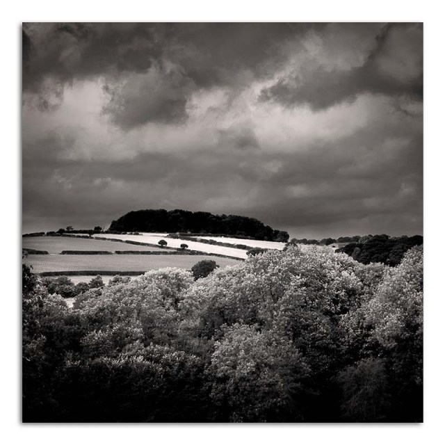 copse-on-a-hill-hardwick