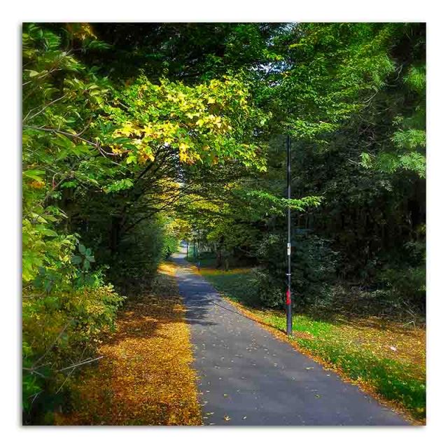 great-central-way-03