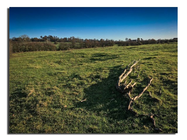 photo-28-11-2016-09-50-37