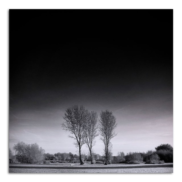 three-trees-jubilee-park