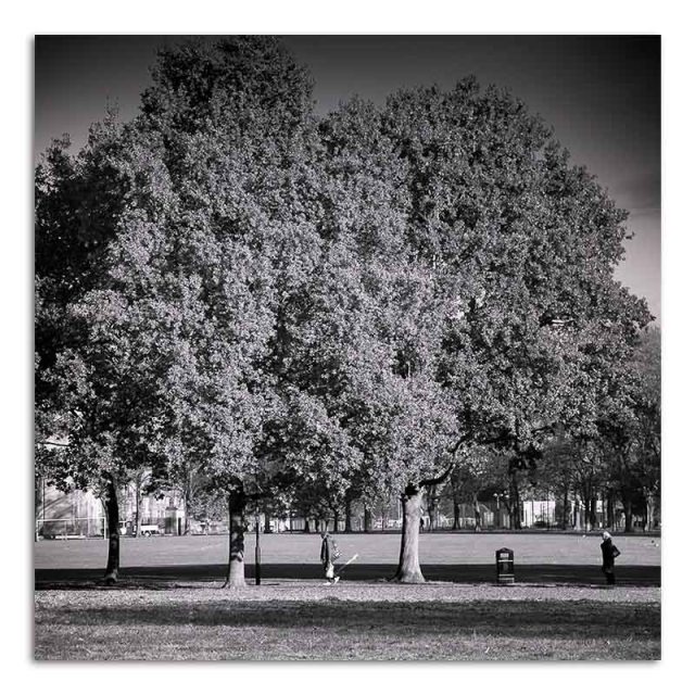 walking-along-a-path