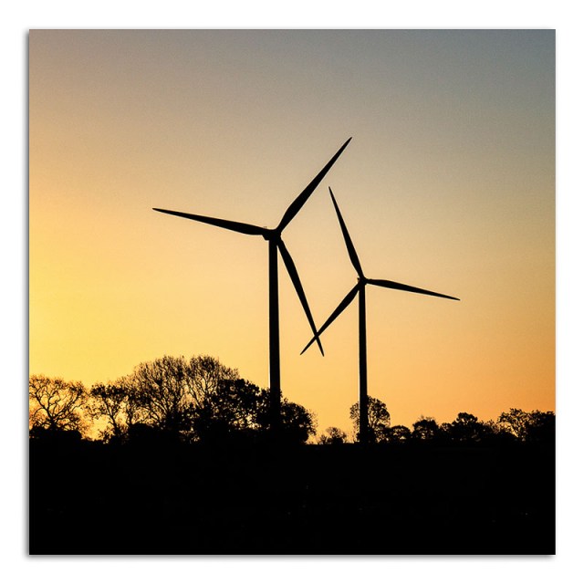 windfarm-at-dawn