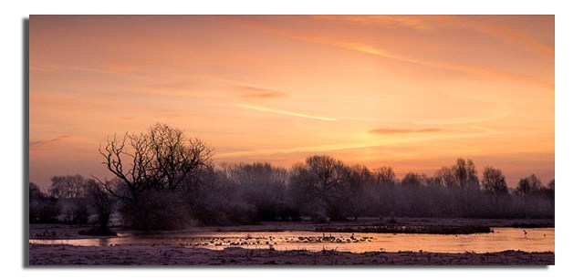 dawn-over-duck-pond