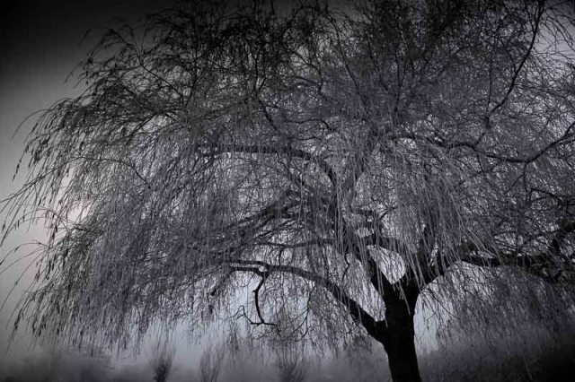 20101206_5d_mg_1792-jubilee-park-on-frosty-morning-enderby