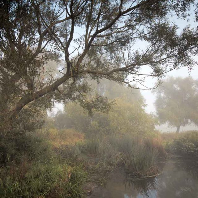 20150919-img_4656-edit