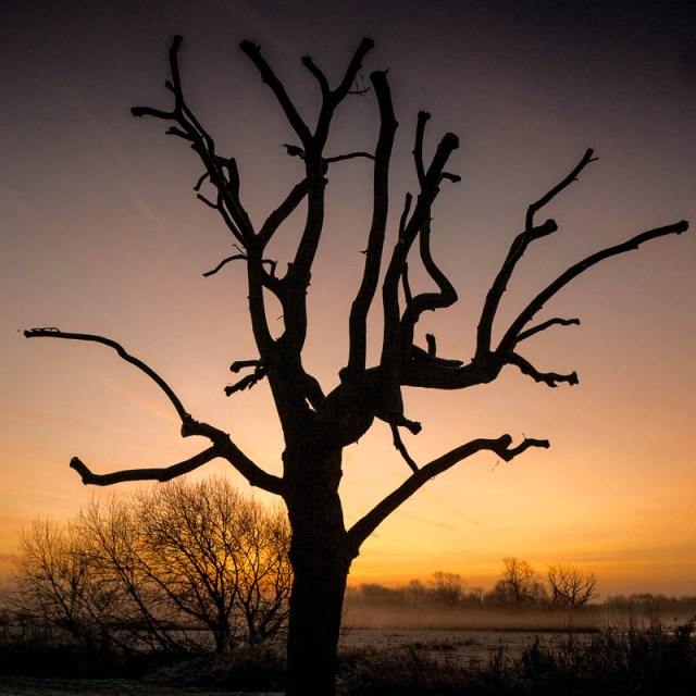 20161205-dsc01171-edit