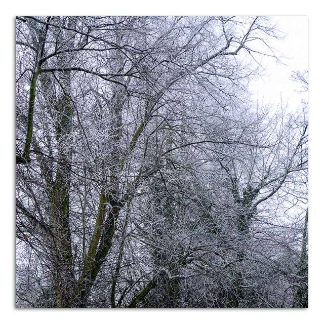 winter-frost-knossington